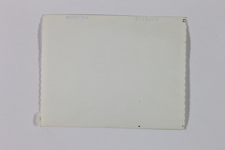 Vista del reverso de una fotografía instantánea que muestra el sello de autenticidad de la marca Polaroid. La superficie de papel presenta una pátina amarillenta por el envejecimiento natural y marcas de producción técnica en los márgenes. Representa el uso de tecnología de revelado inmediato, común en la documentación fotográfica cotidiana y periodística en México durante la segunda mitad del siglo XX.