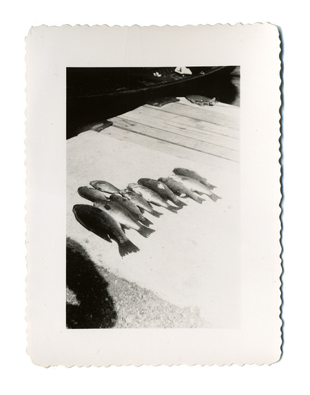 La imagen muestra una captura de aproximadamente ocho peces dispuestos en hilera sobre una superficie clara, probablemente un muelle de concreto o arena compacta. Al fondo se observa parte de una embarcación de madera y tablones de un muelle. Es una fotografía documental de carácter privado que registra una jornada de pesca exitosa a mediados del siglo XX.