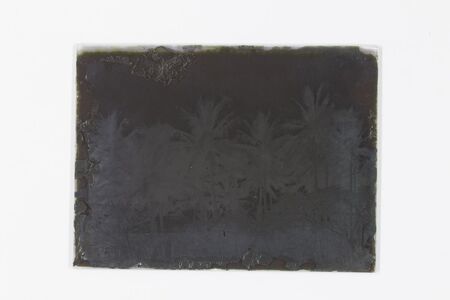 Paisaje tropical que muestra un conjunto de palmeras de coco contra un cielo brumoso o nublado. En la parte inferior se observa vegetación densa y lo que parece ser el perfil de una construcción vernácula. La toma destaca por su valor documental sobre la flora costera, a pesar de la pérdida significativa de imagen en los márgenes.