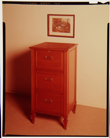 Fotografía a color de una silla de oficina de estilo clásico, tapizada en cuero oscuro con botones de capitoné y tachuelas de latón. El mueble posee descansabrazos y una base de madera de cinco radios con rueditas. Se encuentra situada sobre el césped de un jardín exterior con vegetación densa al fondo, probablemente capturada para fines de inventario institucional.